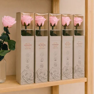 Preserved Rose on Stem 12" Light Pink - Individual Gift Box (set of 25)