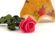 Preserved Roses on stem 12" - Gift Box 25 Units - Dark Pink 7