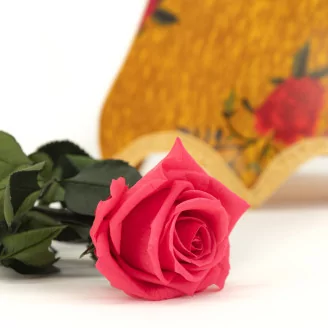 Preserved Rose on Stem 12" Dark Pink - Individual Gift Box (set of 25)