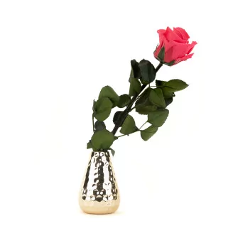 Preserved Rose on Stem 12" Dark Pink - Individual Gift Box (set of 25)