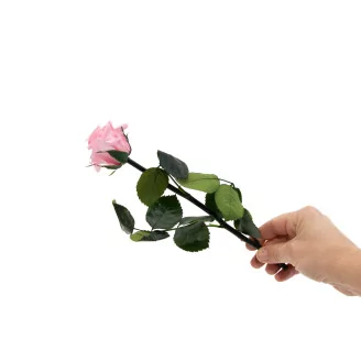 Preserved Roses on stem 12" - Gift Box 25 Units - Light Pink