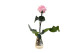 Preserved Rose on Stem 12" Light Pink - Individual Gift Box (set of 25) 3