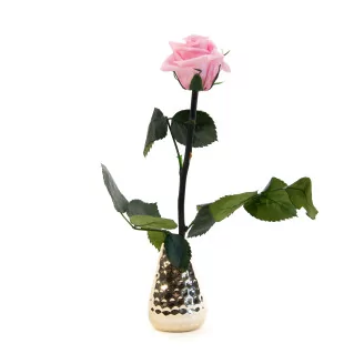 Preserved Roses on stem 12" - Gift Box 25 Units - Light Pink