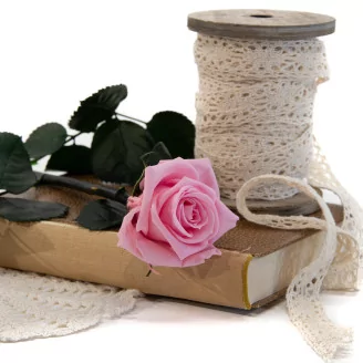 Preserved Rose on Stem 12" Light Pink - Individual Gift Box (set of 25)