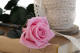 Preserved Roses on stem 30cm - Gift Box 25 Units - Light Pink 2