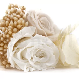 Boutonniere White