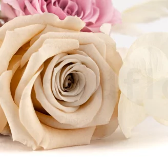 Boutonniere Pink