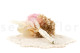Boutonniere Pink 8