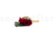 Boutonniere Red 4
