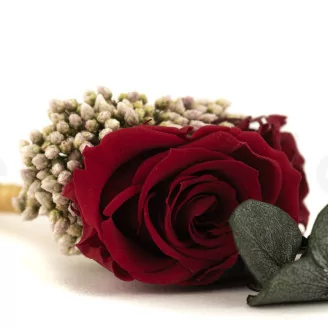 Boutonniere Red