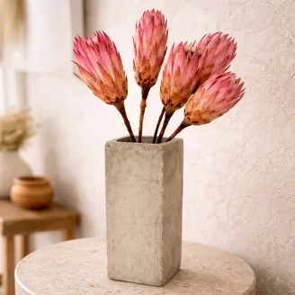 Dried Protea Repens Pink (set of 5)