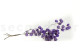Dried Bougainvillea Branch Purple 10