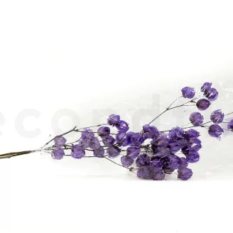 Dried Bougainvillea Branch Purple