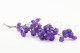 Dried Bougainvillea Branch - Purple 7
