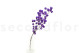 Dried Bougainvillea Branch - Purple 4