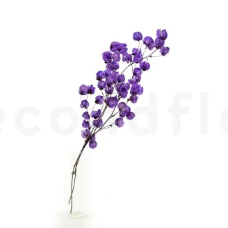 Dried Bougainvillea Branch Purple