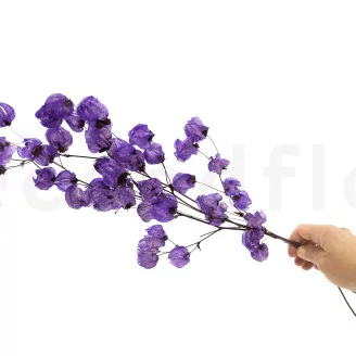 Dried Bougainvillea Branch Purple