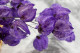 Dried Bougainvillea Branch - Purple 8