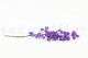 Dried Bougainvillea Branch Purple 11