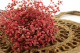 Preserved Baby's Breath Gypsophila Pink 6