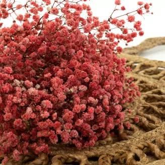Preserved Baby's Breath Gypsophila Pink