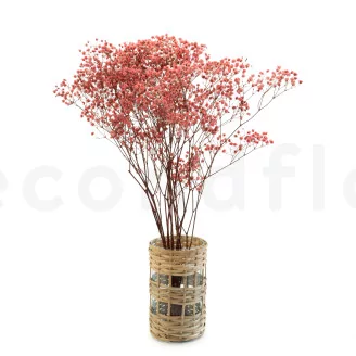 Preserved Baby's Breath Gypsophila Pink