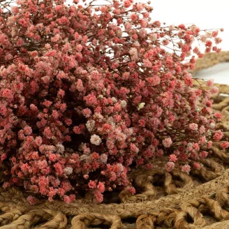 Preserved Baby's Breath Gypsophila Pink