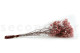Preserved Baby's Breath Gypsophila - Bunch - Pink 13
