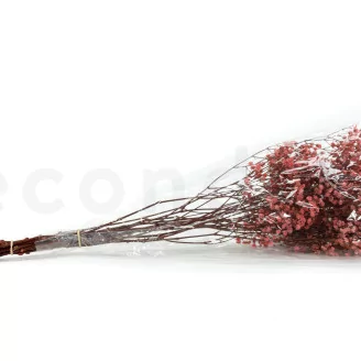 Preserved Baby's Breath Gypsophila Pink