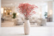 Preserved Baby's Breath Gypsophila Pink 1