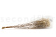 Preserved Baby's Breath Gypsophila - Bunch - Natural 9