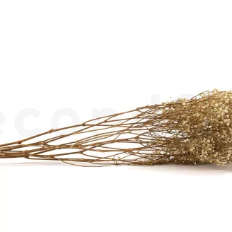 Preserved Baby's Breath Gypsophila Natural
