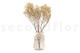 Preserved Baby's Breath Gypsophila Natural 6