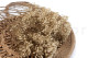 Preserved Baby's Breath Gypsophila Natural 7