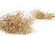 Preserved Baby's Breath Gypsophila - Bunch - Natural 4