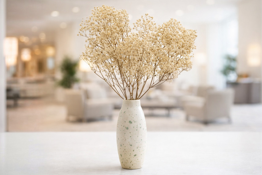 Preserved Baby's Breath Gypsophila - Bunch - Natural