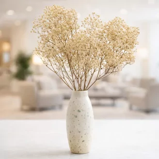 Preserved Baby's Breath Gypsophila Natural