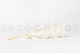Preserved Ruscus Garden White (set of 3) 6