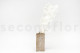 Preserved Ruscus Garden White (set of 3) 4