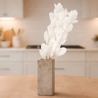 Preserved Ruscus Garden White (set of 3)
