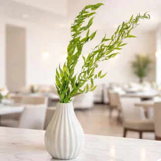 Preserved Italian Ruscus Lime Green