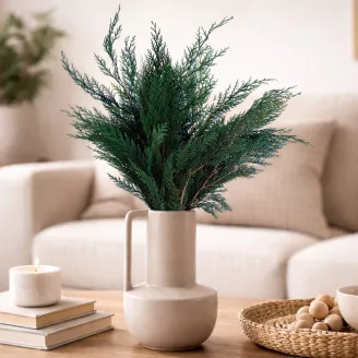 Preserved Cedar