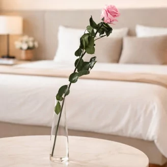 Preserved Rose on Stem 20" Light Pink (set of 30)