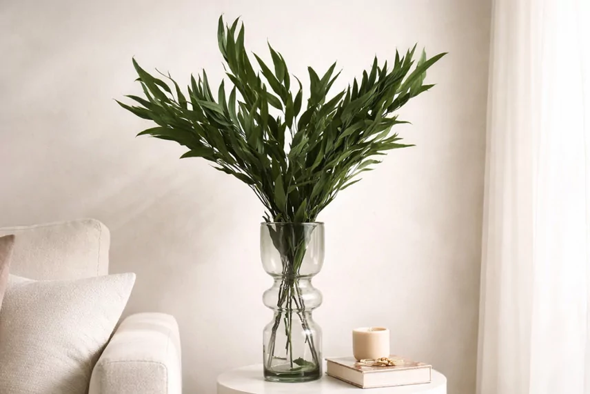 Preserved Eucalyptus Willow - Green