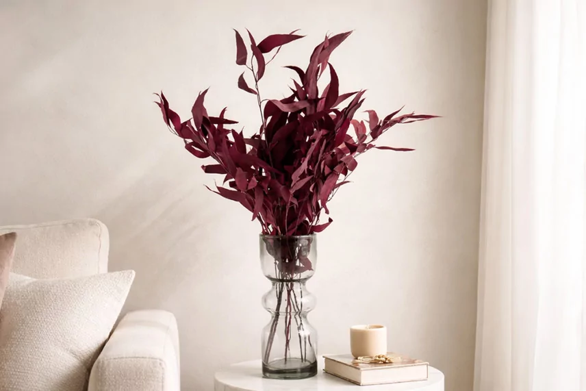 Preserved Eucalyptus Willow Red