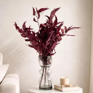 Preserved Eucalyptus Willow Red