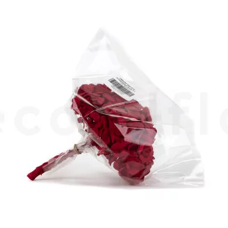 Preserved Hydrangea Red