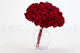 Preserved Hydrangea Red 5