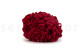Preserved Hydrangea Kiara - Vibrant Red 7