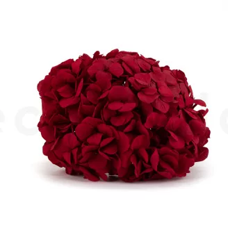 Preserved Hydrangea Red